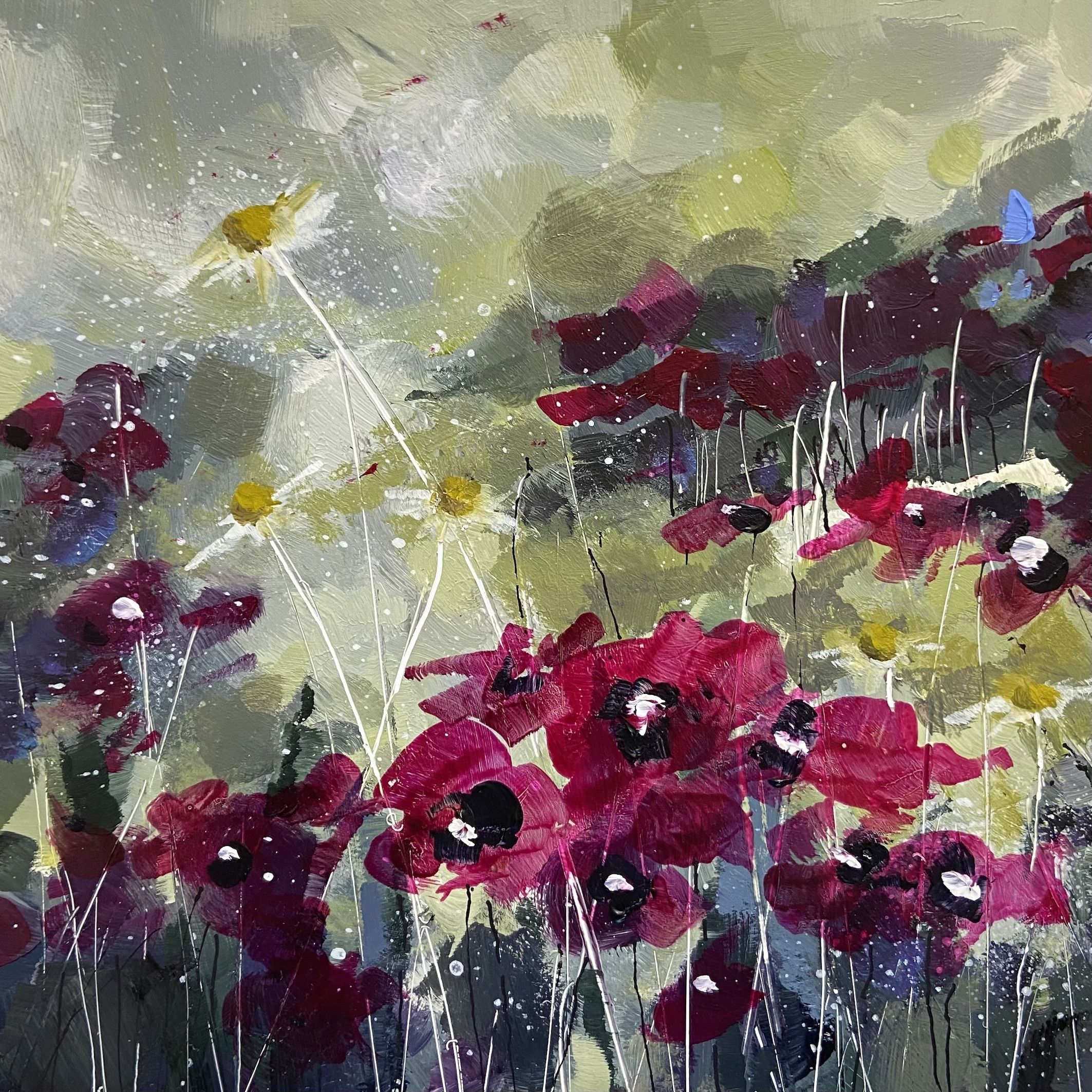 Meadow Poppies by Tamara Williams