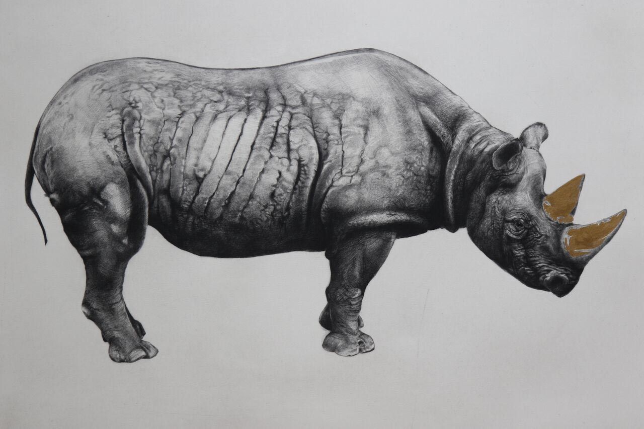 Rhinoceros (state II) by Tammy Mackay