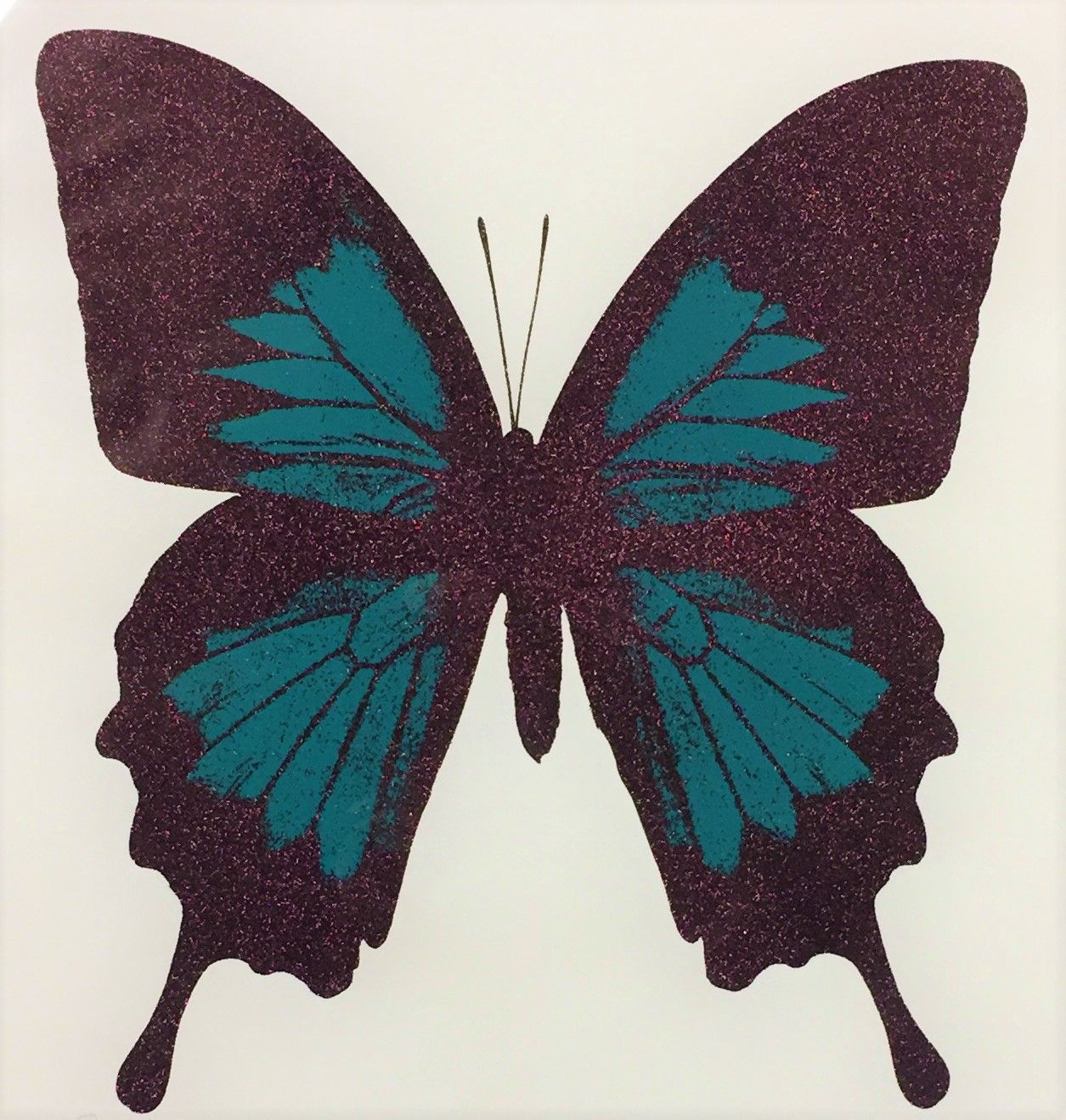 Papilio Ulysses - Teal by Claire Robinson