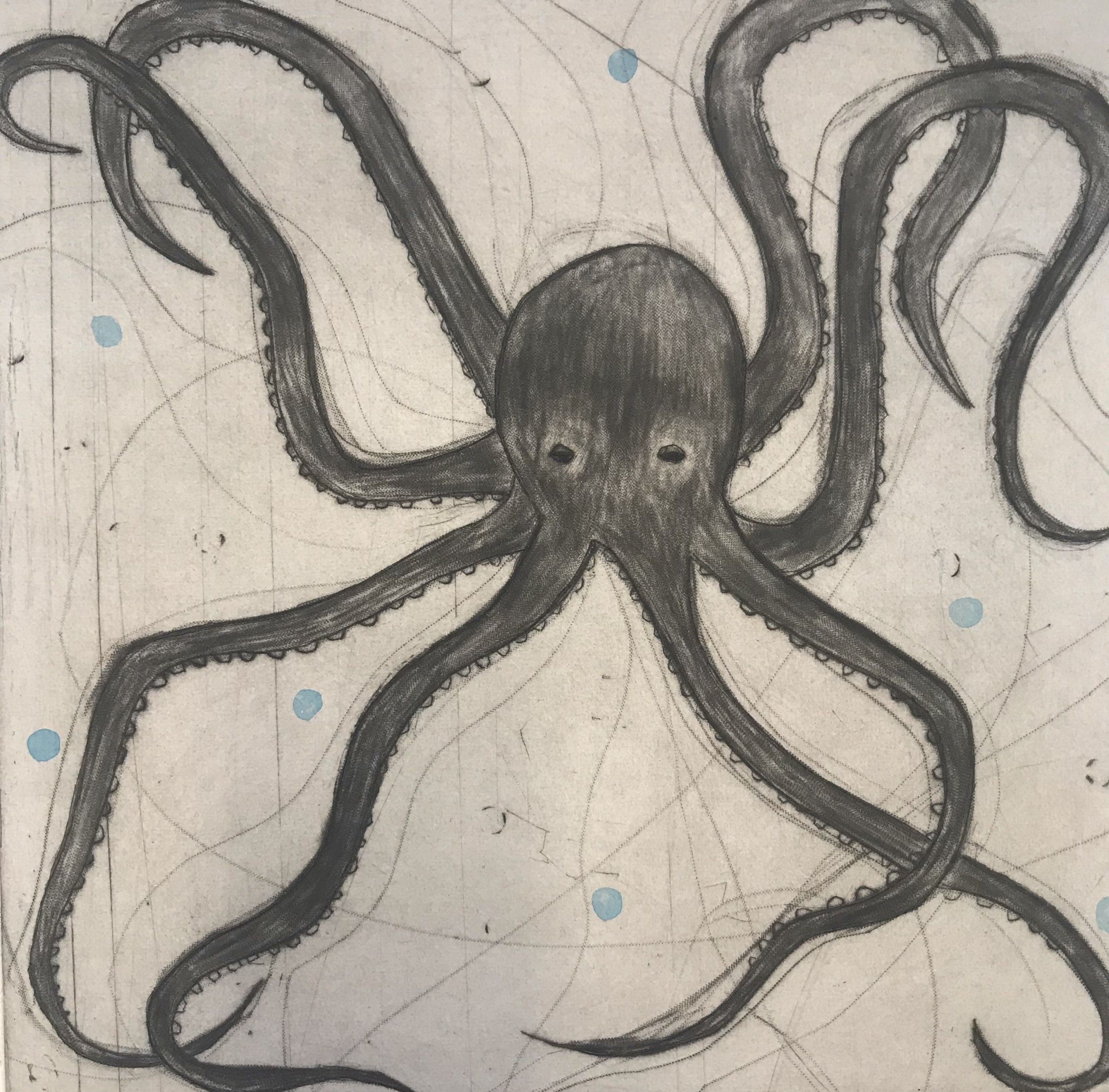 Octopus by Kate Boxer