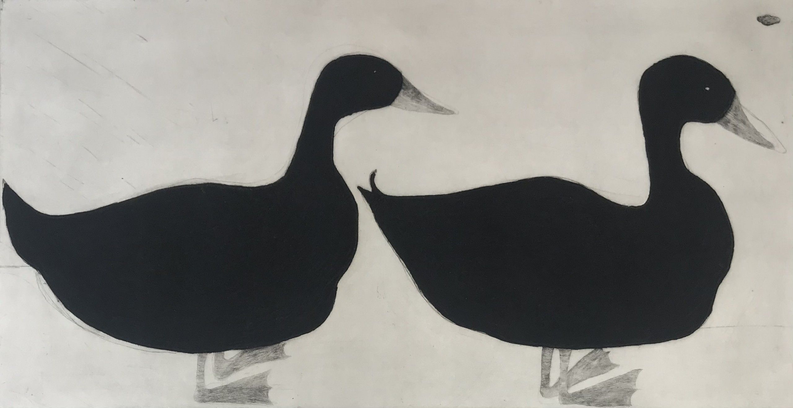 Ducks by Kate Boxer