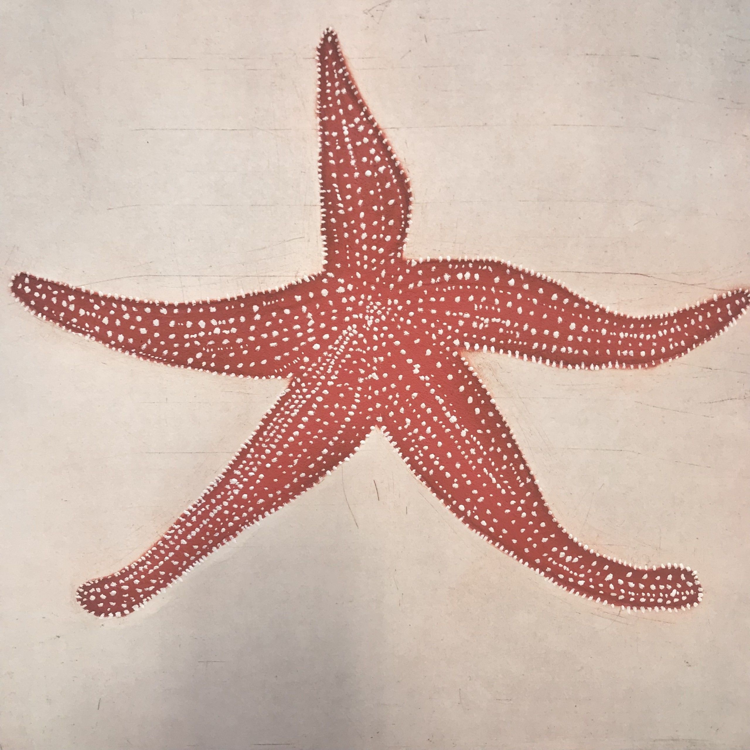 Starfish by Kate Boxer