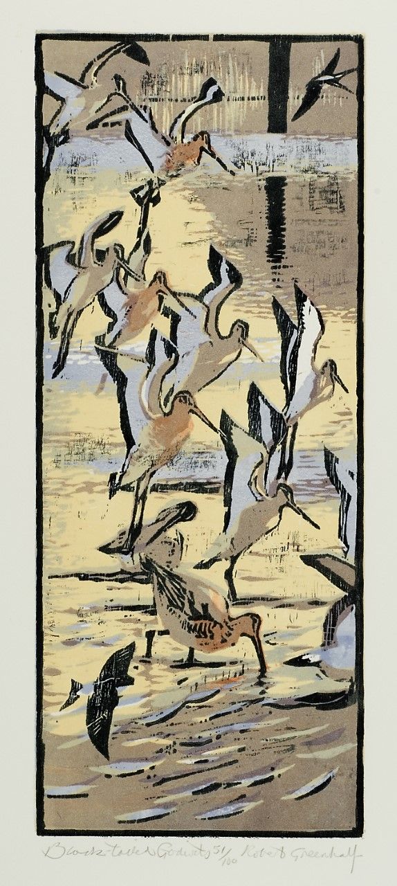 Black Tailed Godwits by Robert Greenhalf