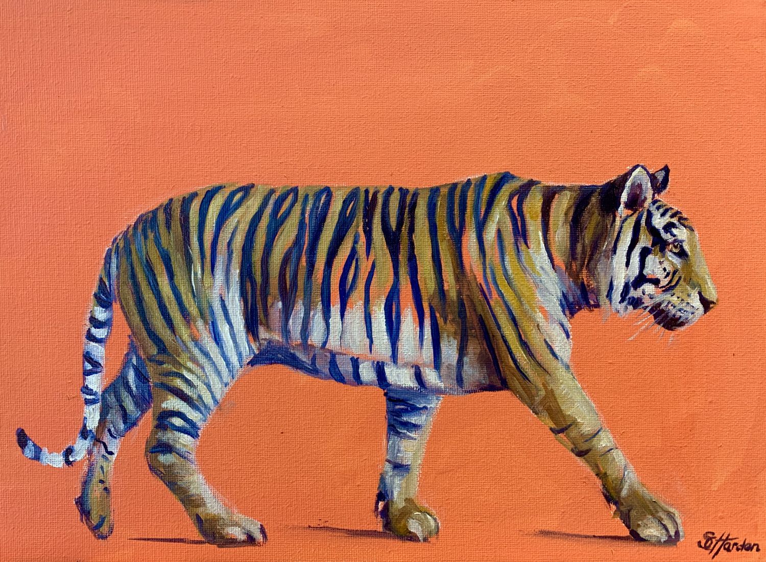 Tiger Tiger Burning Bright by Sophie Harden
