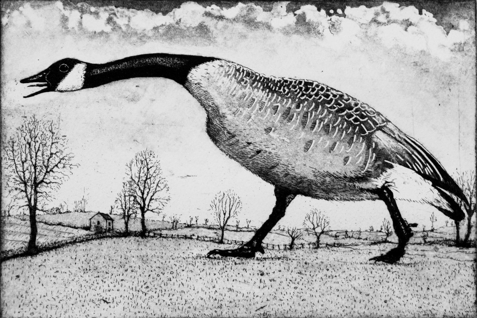 Hissing Goose by Tim Southall