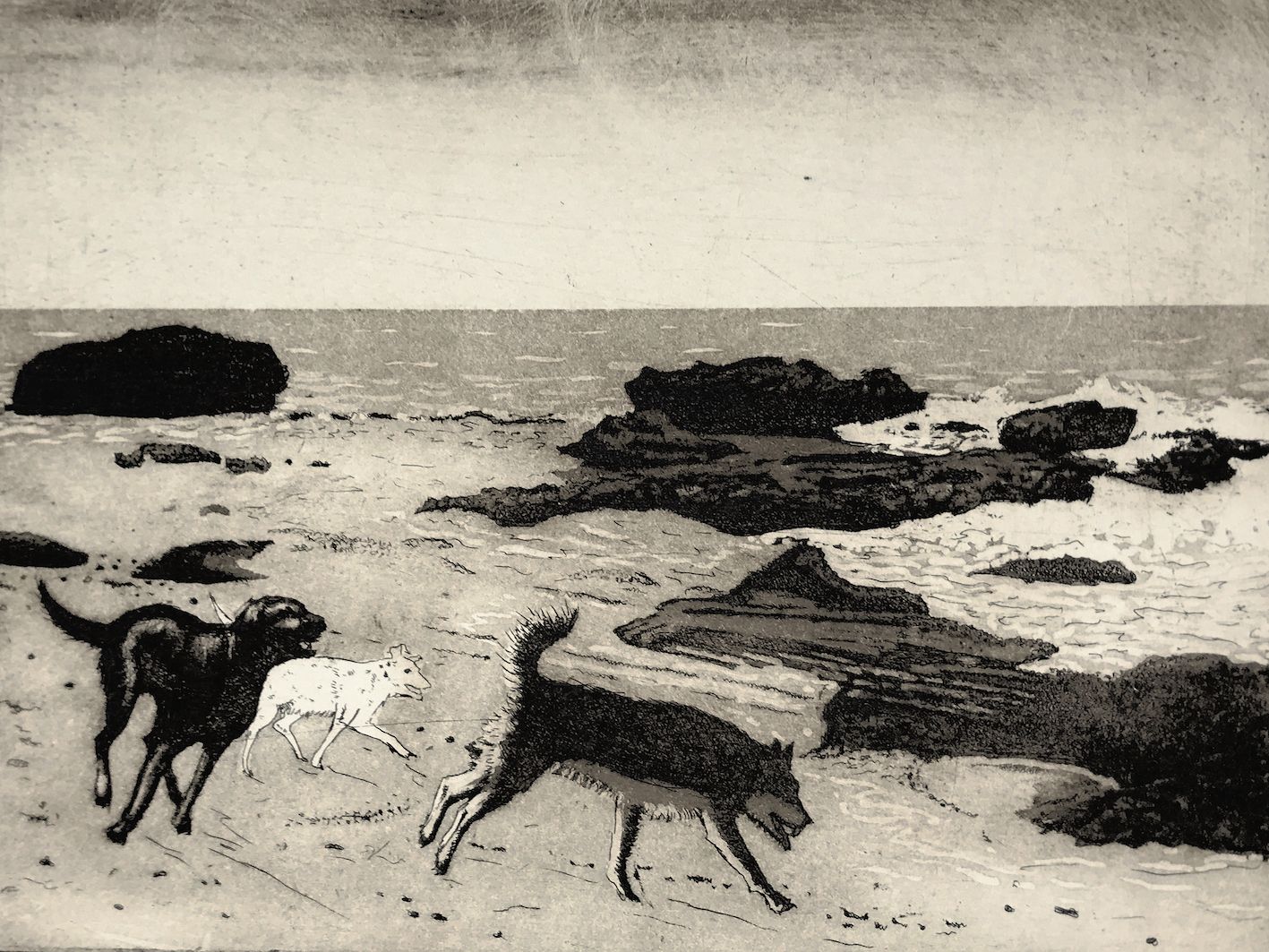 Dogs on a Beach by Tim Southall