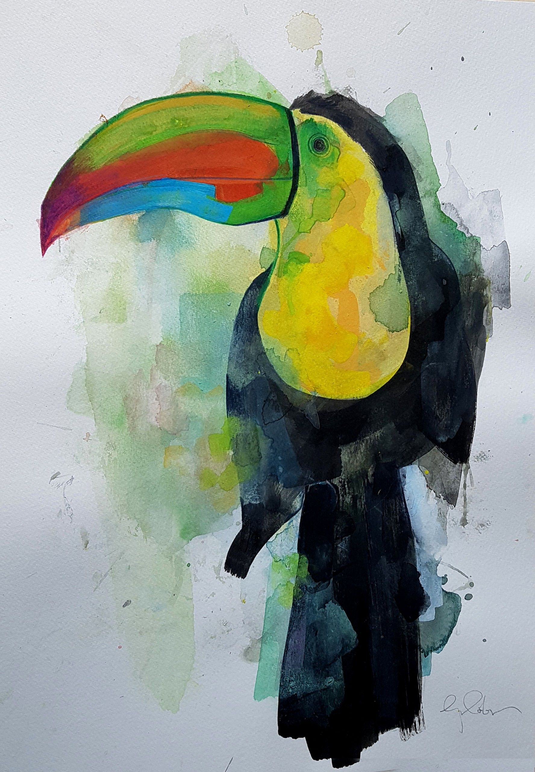 Toucan by Gavin Dobson