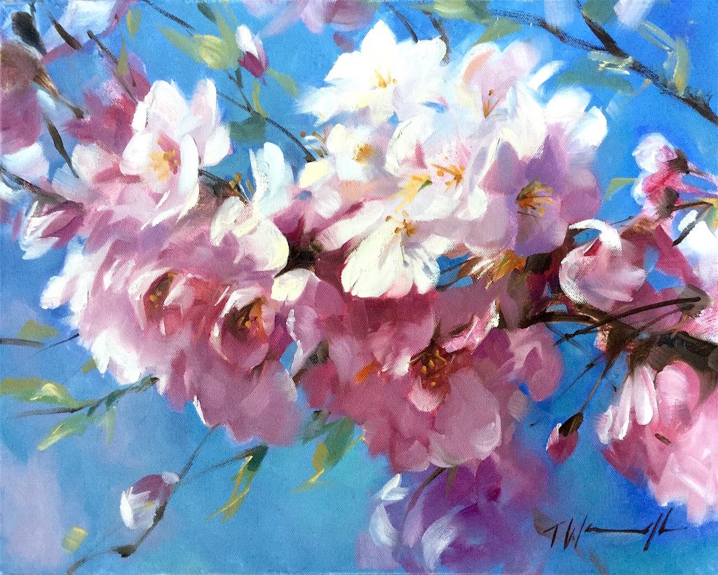 Cherry Blossom by Trevor Waugh