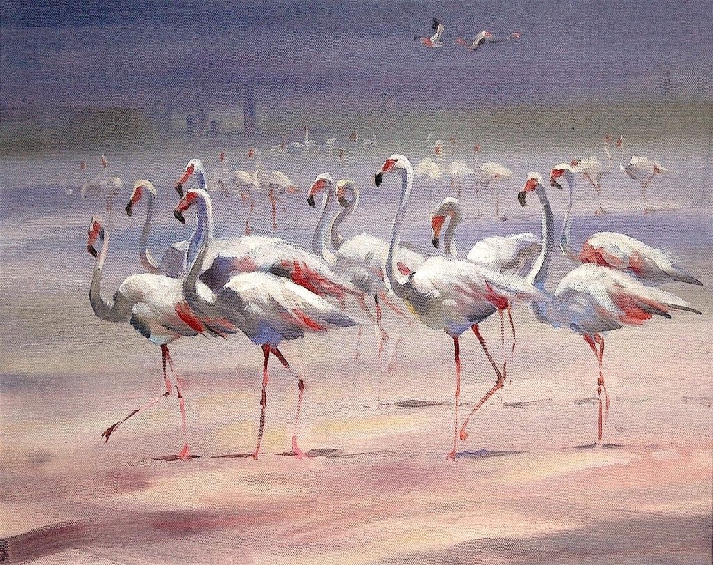 Flamingoes by Trevor Waugh