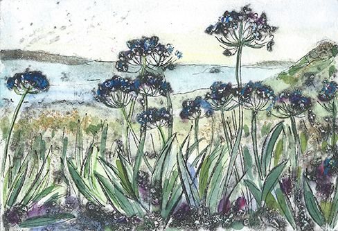 Cornwall Summer by Vicky Oldfield