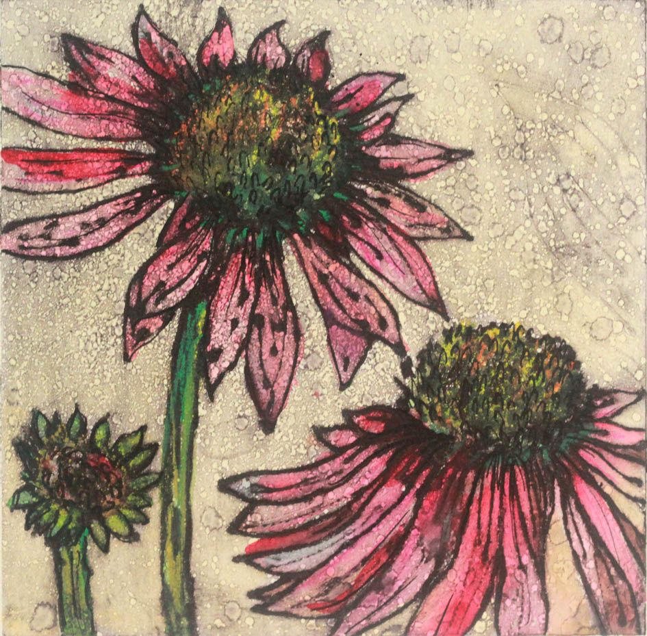Echinacea by Vicky Oldfield