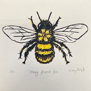 Hairy Footed Bee by Vicky Oldfield