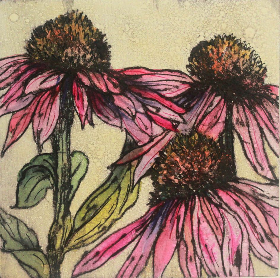 Late Summer Echinacea by Vicky Oldfield