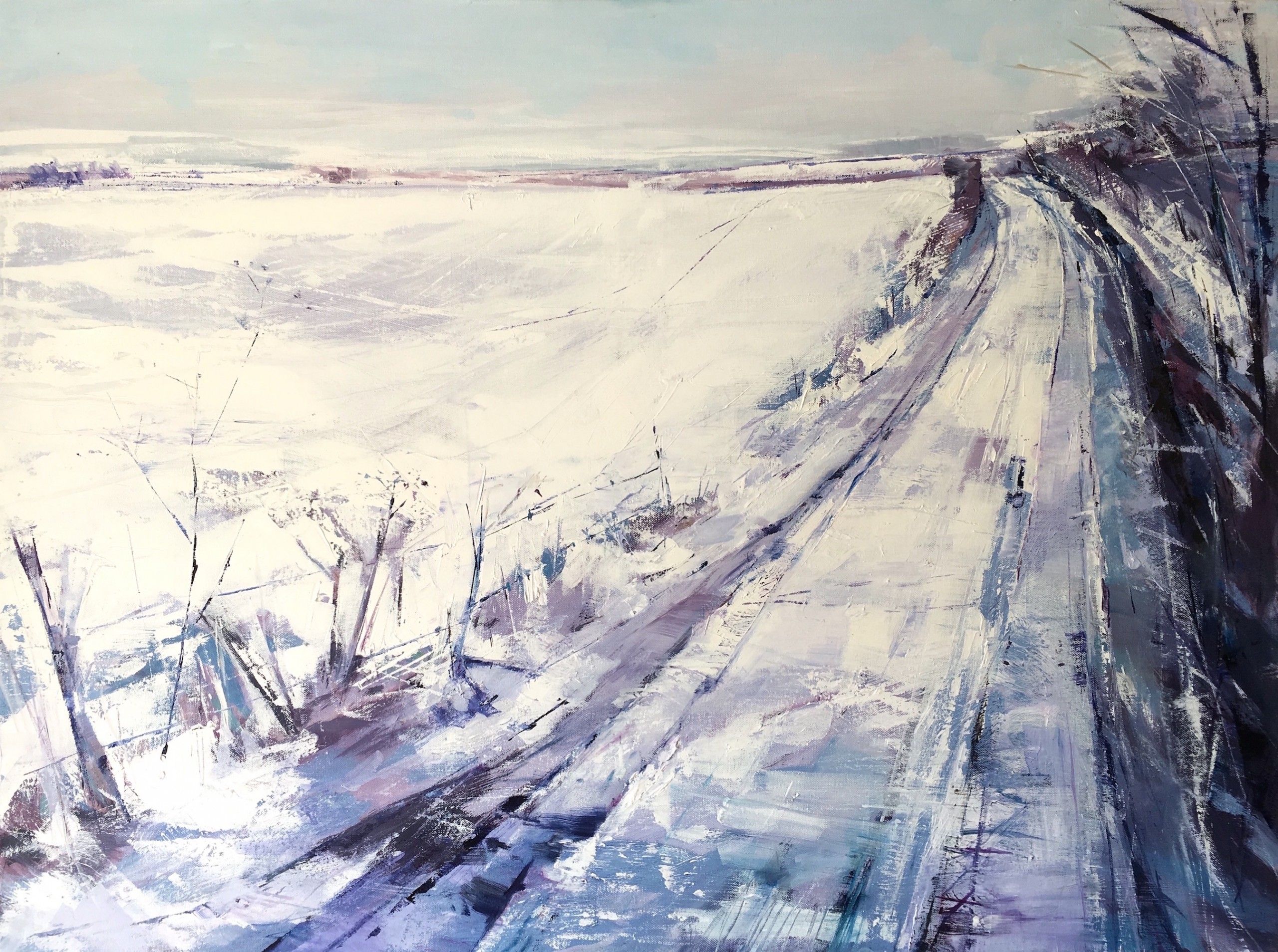 Snow along the Track by Victoria Fletcher