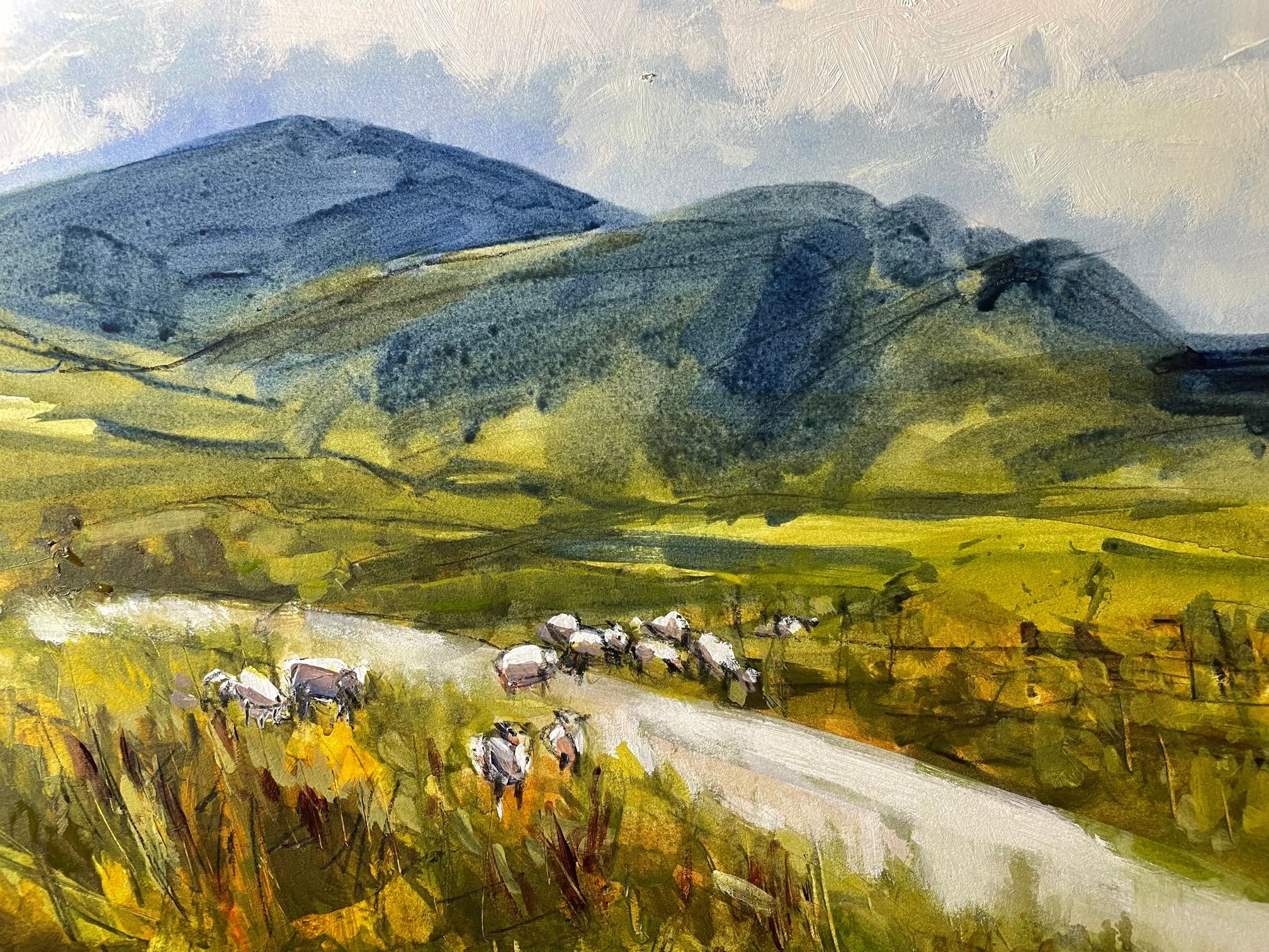 Wandering sheep, Ben Mohr by Natalie Bird