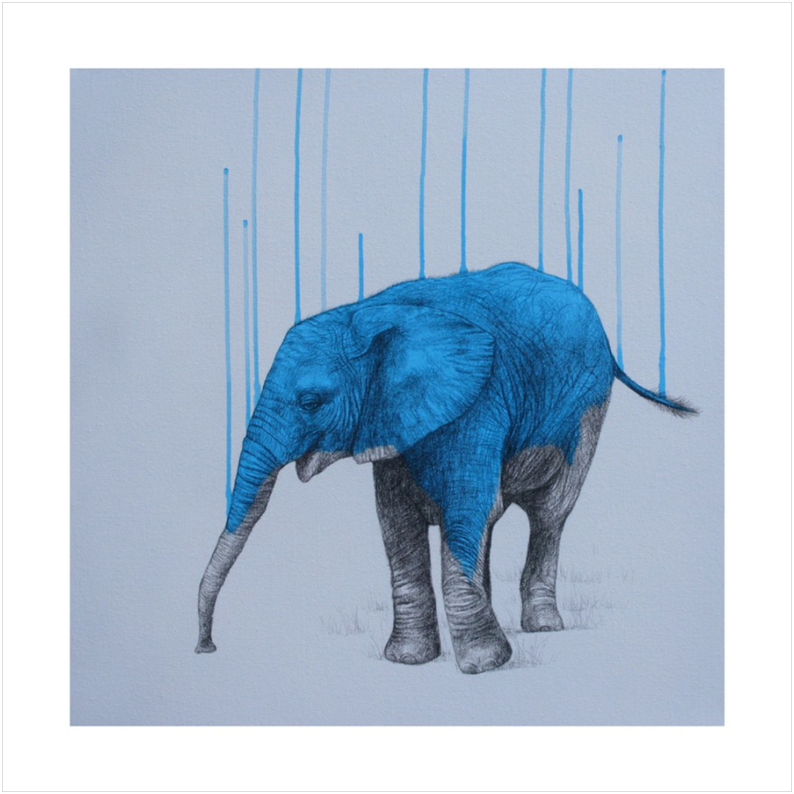 Wild Strength by Louise Mcnaught