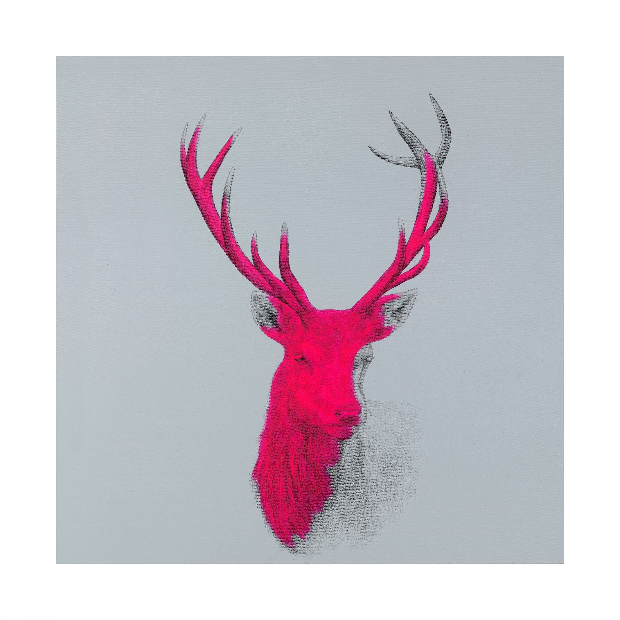 Wildly Sublime II by Louise Mcnaught
