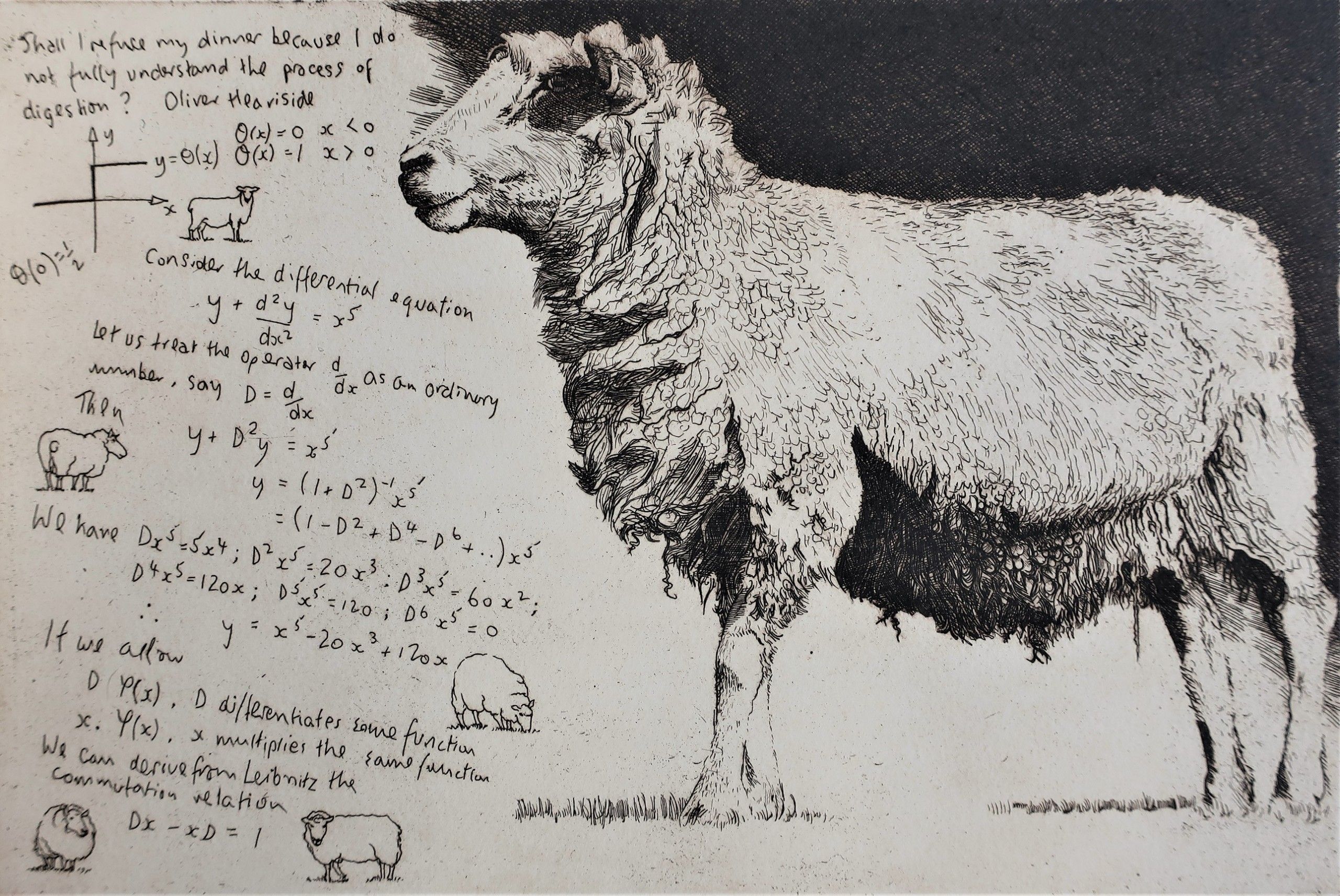 Heaviside Sheep by Will Taylor