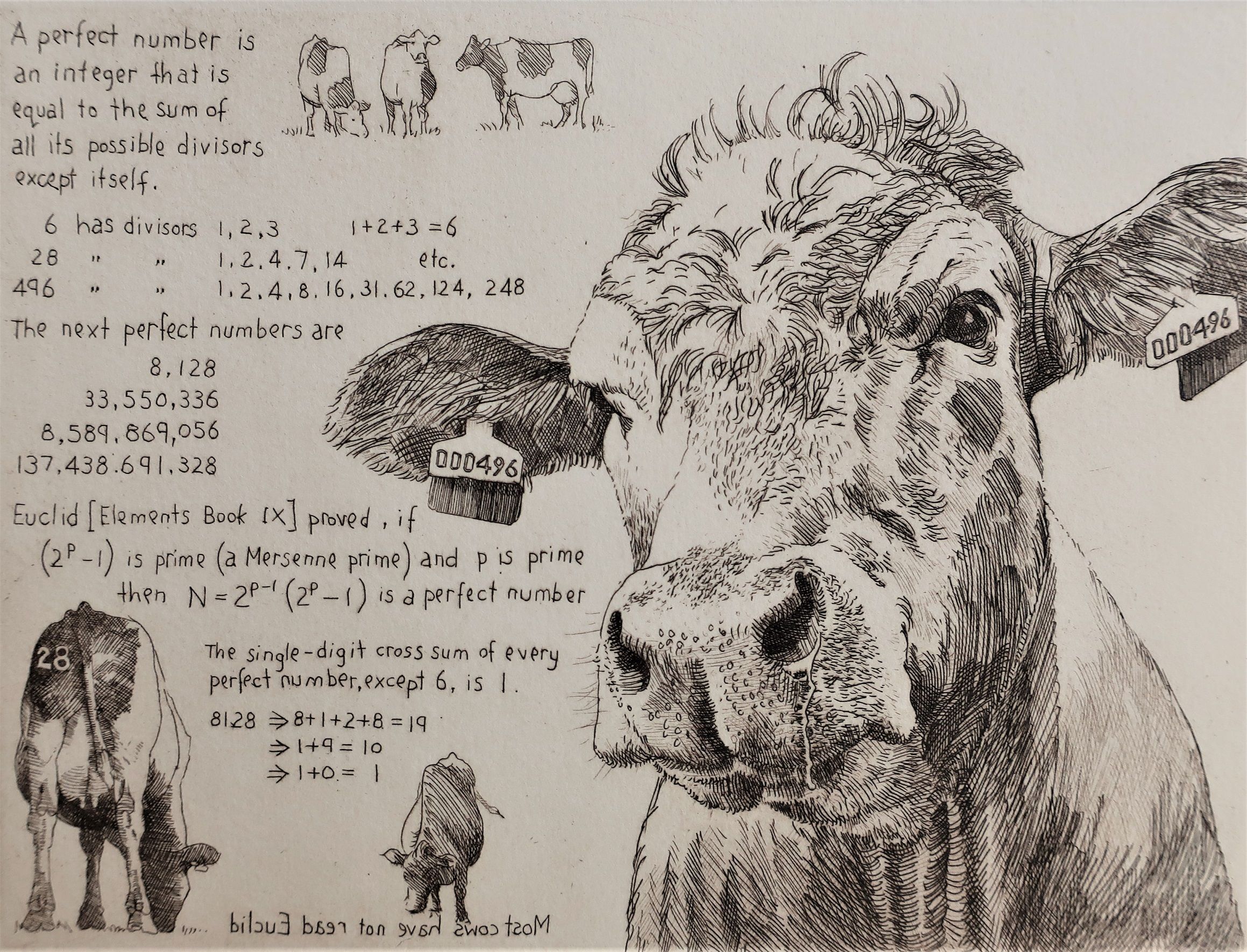The Perfect Cow by Will Taylor