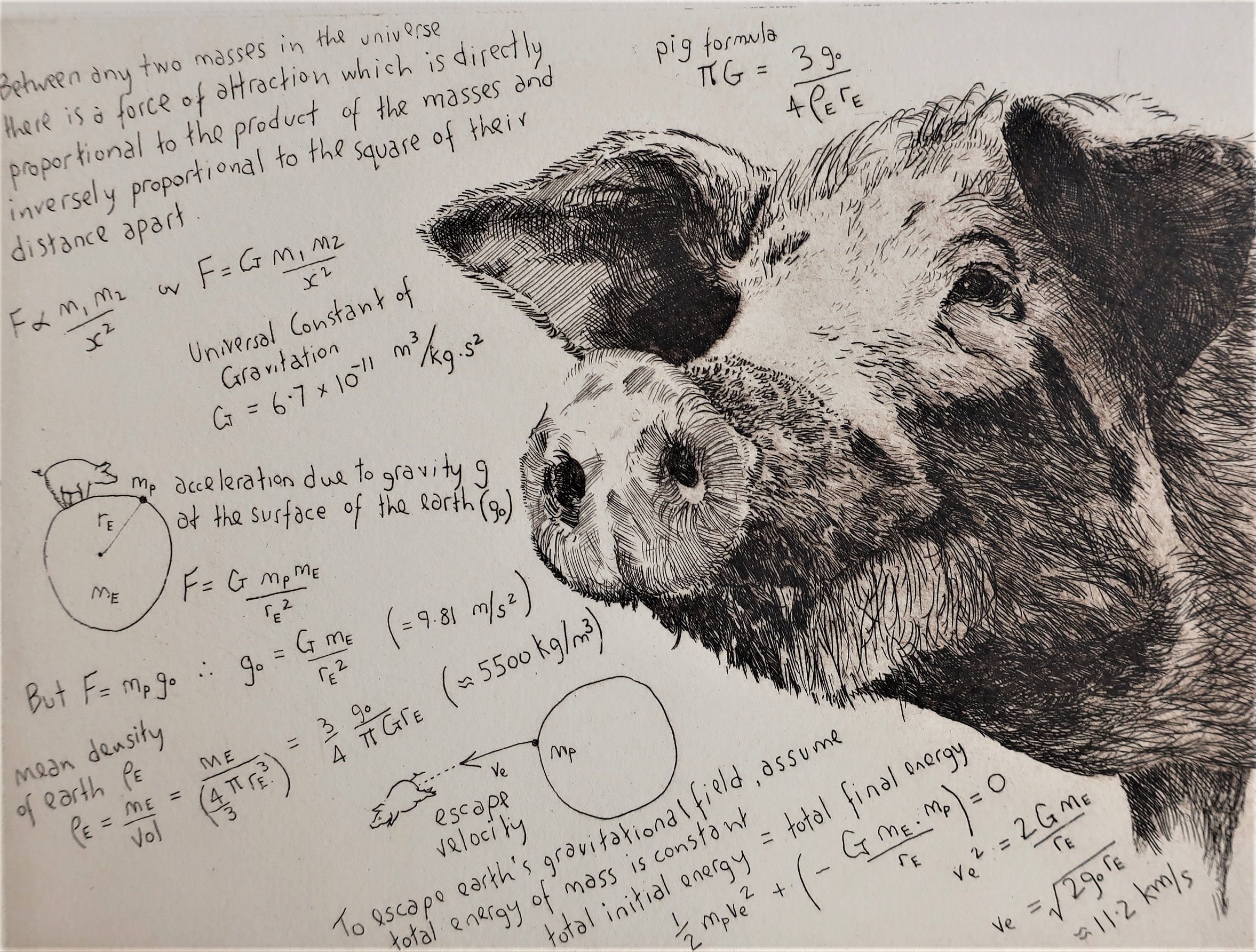 Universal Pig Formulae by Will Taylor