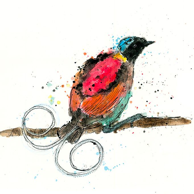 Wilsons Bird of Paradise by Zaza Shelley