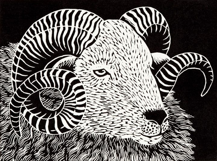 Wiltshire Horn Ram by Rosemary Farrer