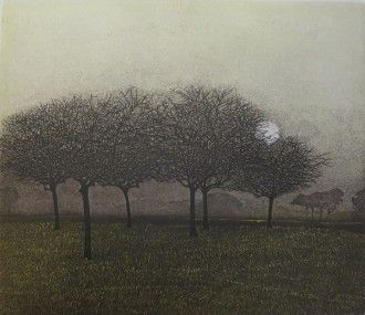 Winter Copse by Phil Greenwood