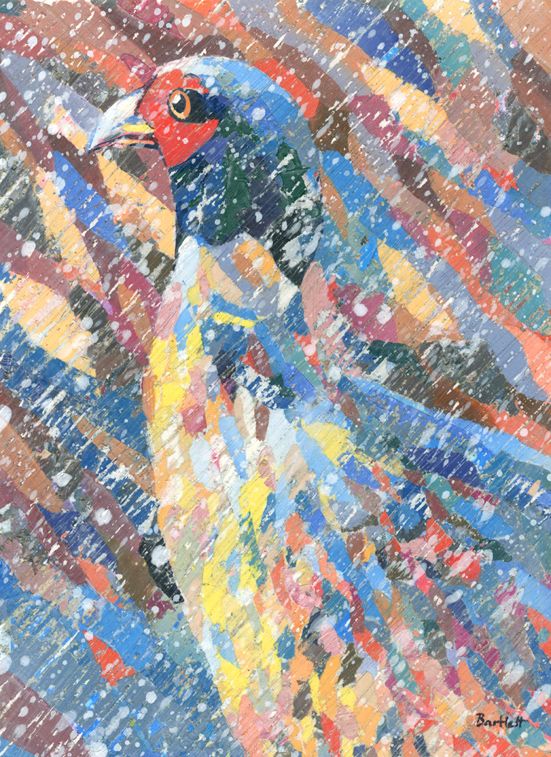 Winter Pheasant by Paul Bartlett