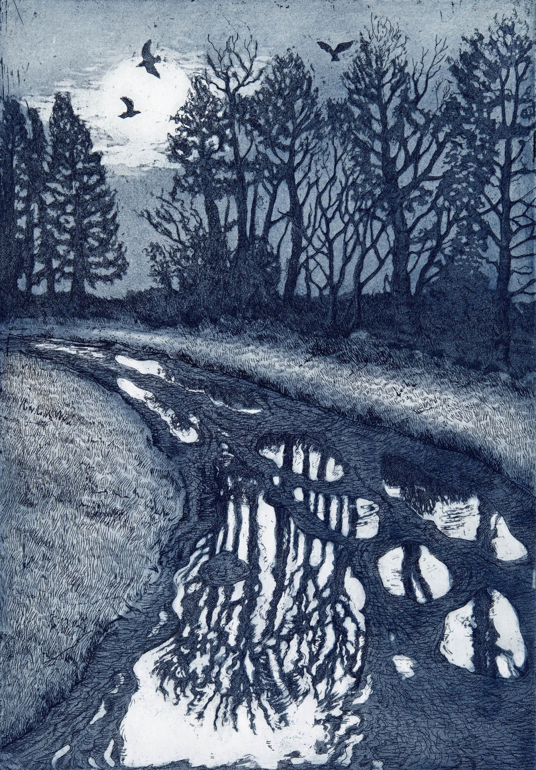 Winter Reflections by Jane Peart
