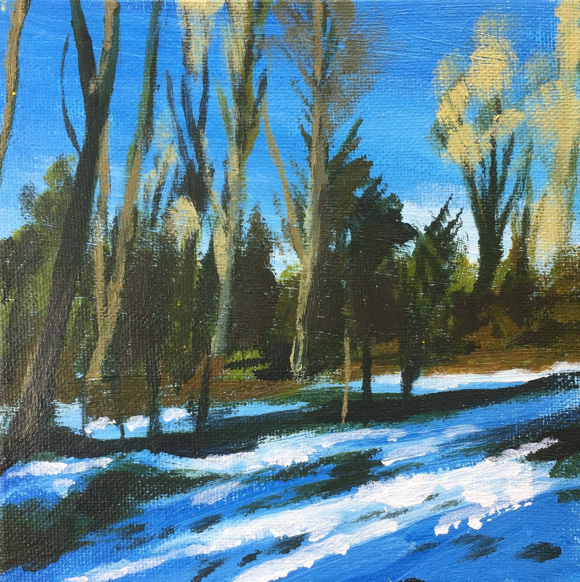 Woodland Snow study 1 by Alexandra Buckle
