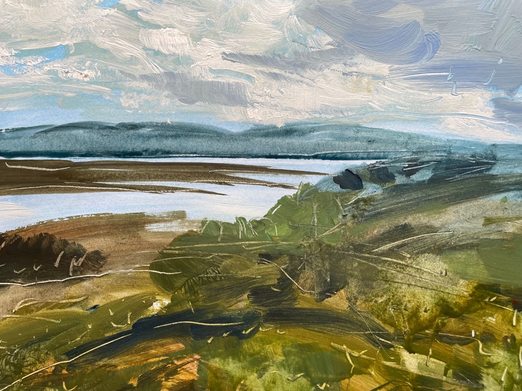 View of Loch Craignish by Natalie Bird