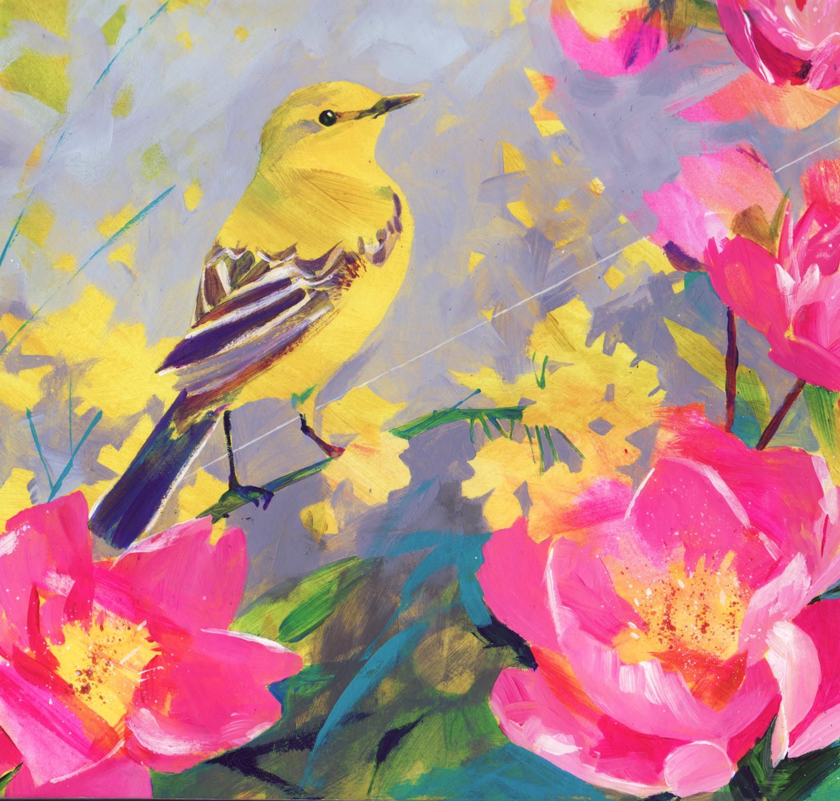 Yellow Wagtail by carolyn carter