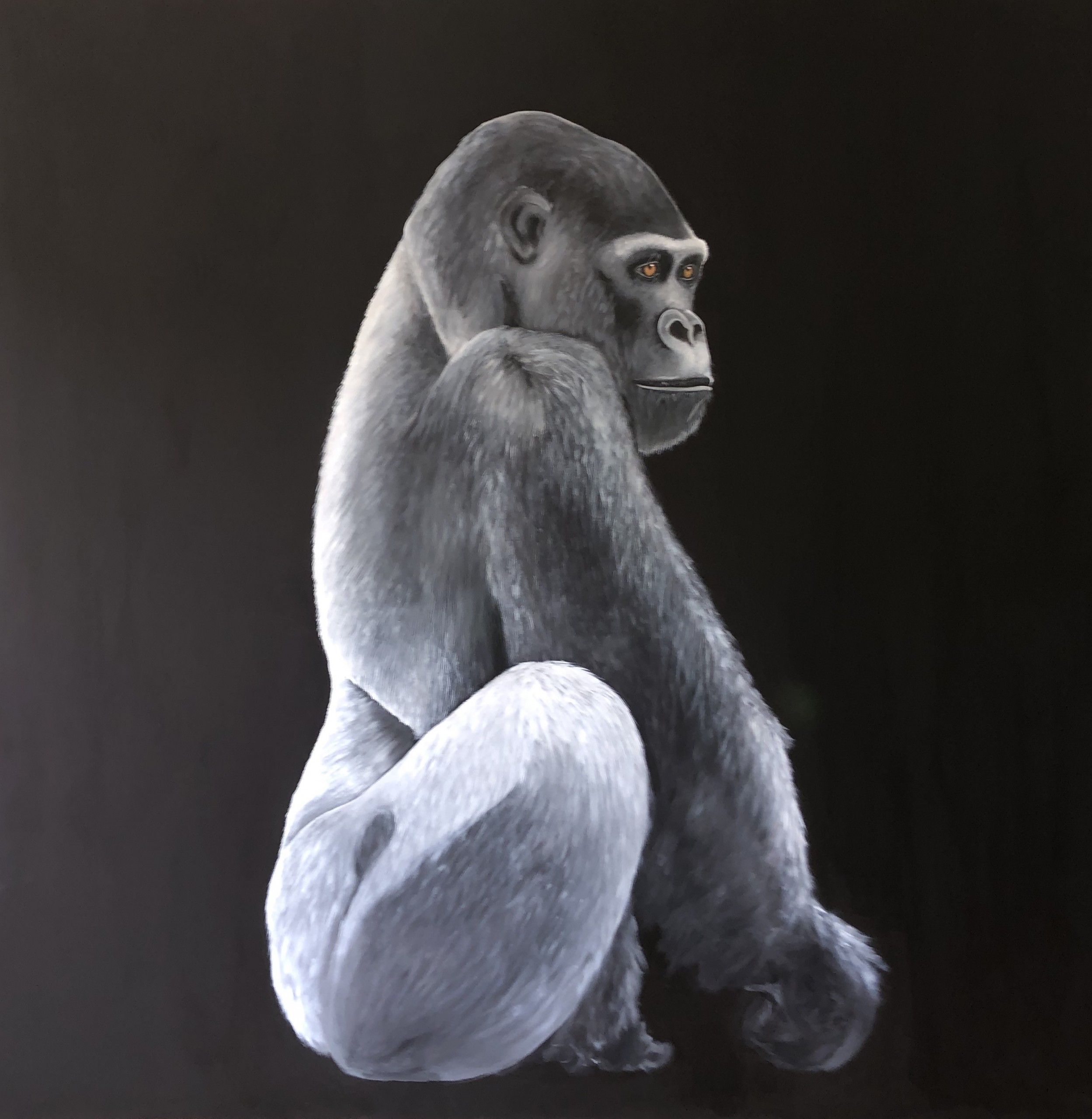 Gorilla by Zoe Louise